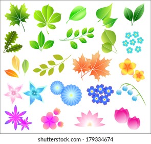 A very large set of transparent leaves and flowers for your spring or summer design