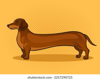 very long dachshund dog pinup pop art retro vector illustration. Comic book style imitation.