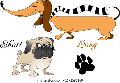 Very long dog on a walk with a small pug, vector
