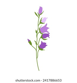 Very peri flower isolated on white background