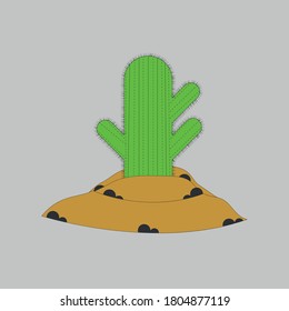 very pretty cactus plant and sand