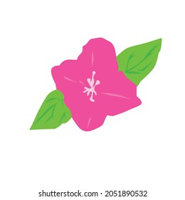 very pretty flower simple vector design