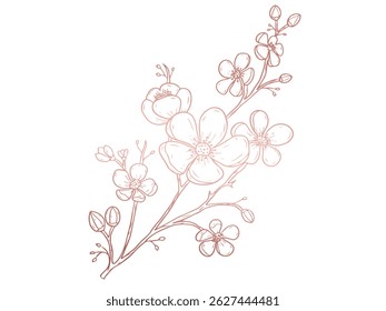 Very pretty pink cherry blossoms, beautiful and charming