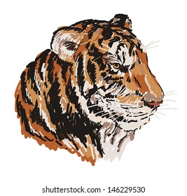 Very realistic portrait of Tiger