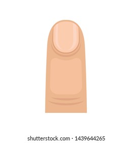 Very short nail with a rounded edge. Vector illustration on white background.