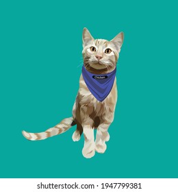 a very sweet and funny cat
