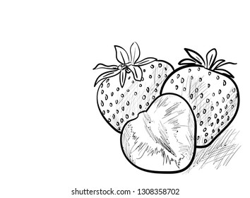 a very tasty berry