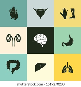 Very Useful 9 human body parts or organ Vector Icon Set for Designer Can Be Use in Design, Web Design & App Design.