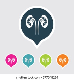 Very Useful Editable Kidneys Icon on Different Colored Pointer Shape. Eps-10.