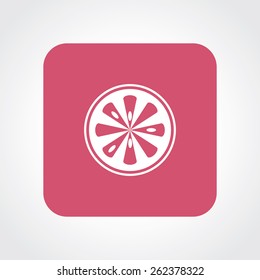 Very Useful Flat Icon of Lemon Slice. Eps-10.