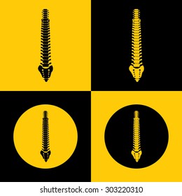 Very Useful Icon Of Spinal Cord. Eps-10.