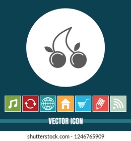 Very Useful Vector Icon Of Berry or Cherry with Bonus Icons. Very Useful For Mobile App, Software & Web.