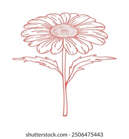 Very wonderful vector sunflower line art 