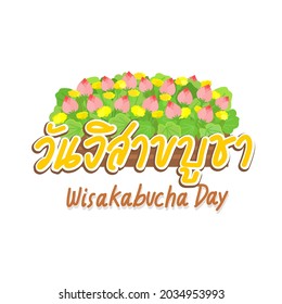Vesakha Bucha Day in Thai Language it mean “Vesakha Bucha Day”