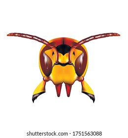 The Vespa head is frontal. Beautiful icon for the team. Can be used as a print on clothing.