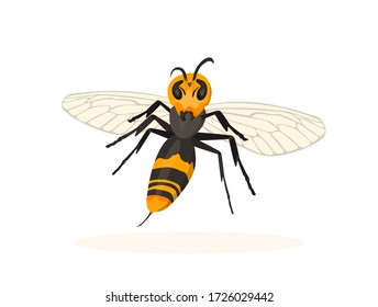 Vespa mandarinia magnifica - Asian giant murder hornet. The world's largest hornet with long, sharp and danger stinger. Cartoon style. Isolated on white stock vector illustration.