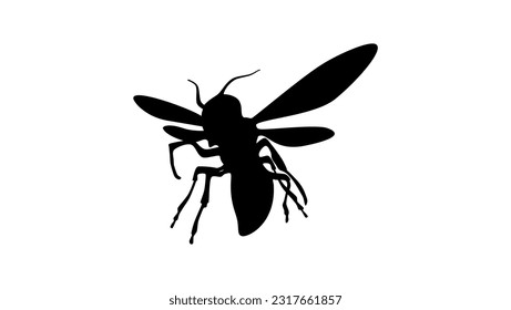 Vespa mandarinia silhouette, Asian giant hornet, high quality vector