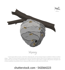 Vespiary drawing. Wasp hive on a branch. Residence flying insects. Vector illustration