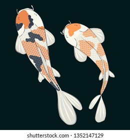 Vestor illustration of two karps Koi with orange and dark specks. Dark blue background.