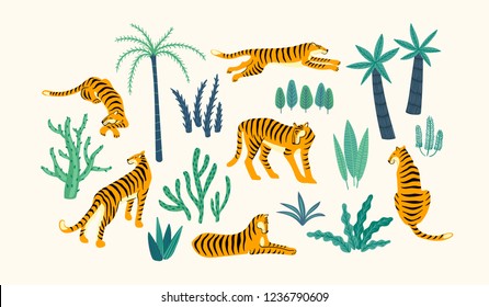 Vestor set of tigers and tropical leaves. Trendy illustration.