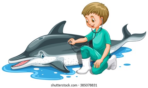 Tierärztliche Untersuchung von Delphin-Illustrationen