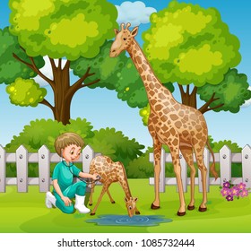A Vet Checkup Giraffe at Zoo illustration