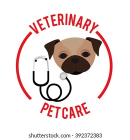 vet clinic design 