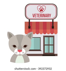 vet clinic design 