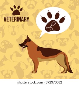 vet clinic design 