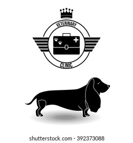 vet clinic design 