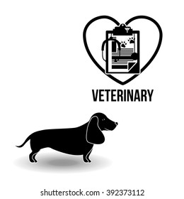 vet clinic design 