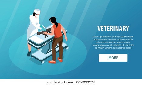 Vet clinic isometric horizontal website banner with veterinary giving injection to cat vector illustration