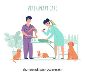 Vet Doctor Animals Veterinarians Work Process Stock Vector (Royalty ...