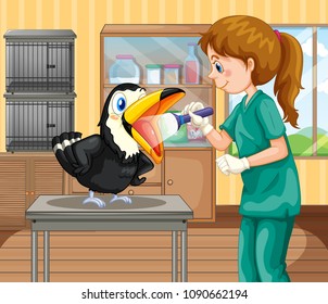 A Vet Doctor Checking a Hornbill illustration