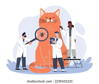Vet doctors concept. Men with magnifying glass and stethoscope examine orange cat. Animal love and health care. Check for fleas and fractures, team of specialists. Cartoon flat vector illustration