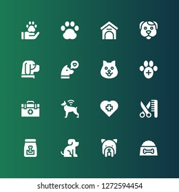 vet icon set. Collection of 16 filled vet icons included Dog food, Dog, Pet, Grooming, Veterinary, Veterinarian, Kennel, Pawprint