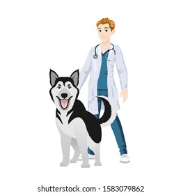 The vet man next to the dog. The husky breed. The concept of treatment of Pets. Veterinary professional consultation.