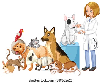 Vet and many injured animals illustration