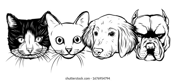 Vet Pet Icons Symbols Set vector, grouped for easy editing.