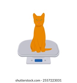 Vet Scale, Veterinary Flat Vector Illustration