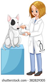 Vet wrapping dog's leg illustration