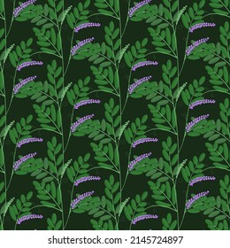 vetch, wild field spring and summer flowers, seamless vector pattern, dark background