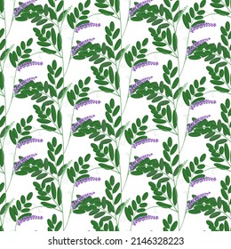 vetch, wild field spring and summer flowers, seamless vector pattern, isolated on white background