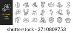 Veteran day icon set. It includes soldier, military, honorary, honor, salute and more icons. Editable Vector Stroke.