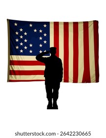 veteran vector graphic illustration graphic