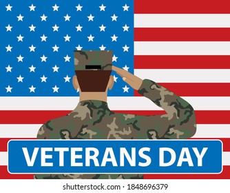 veterans day concept, soldier in front of usa flag, vector illustration 