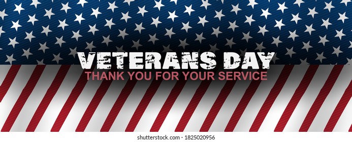 veterans day, thank you for your service, November 11, posters, modern brush design vector illustration