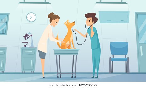 Veterinarian clinic. Doctor in cabinet examining pets dog treatment health vector therapy center vet clinic cartoon background