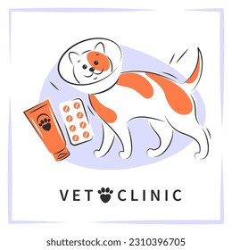 Veterinarian clinic or hospital for animals. Cats treatment. Medicine for pets. Vector background