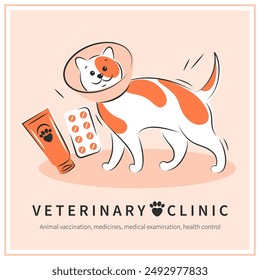 Clínica veterinaria u hospital para animales. Tratamiento para gatos. Medicina para mascotas. fondo de Vector